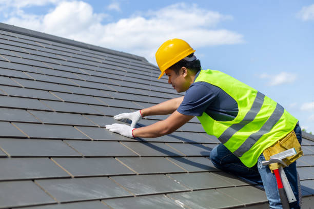 Best Roof Insulation Installation  in Basehor, KS