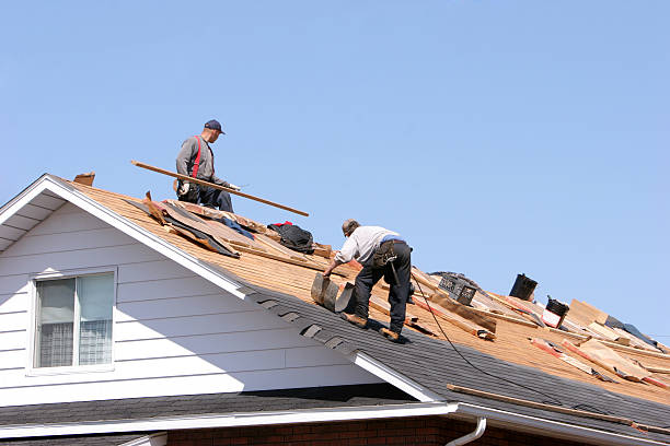 Best Roof Moss and Algae Removal  in Basehor, KS